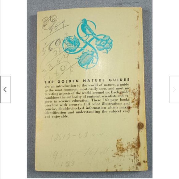 Vtg American Birds Golden Nature Pocket Guide 1956 Herbert Zim Ira Gabrielson - Picture 2 of 2